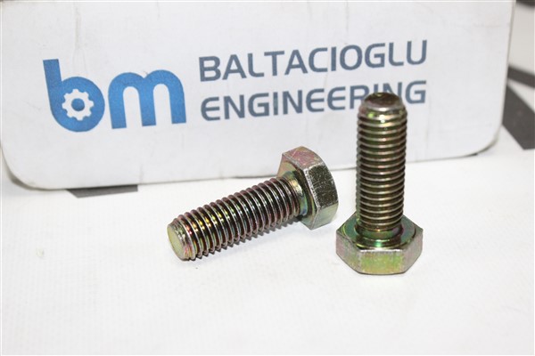 SCREW - V.bm01009145