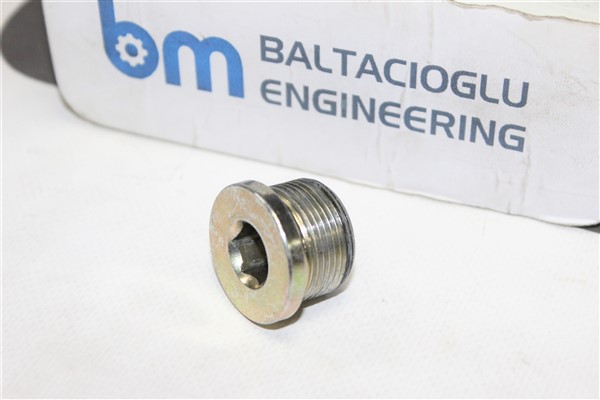 SCREW PLUG  - V.bm01066006