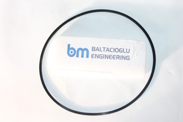 PISTON RING - V.bm50886911