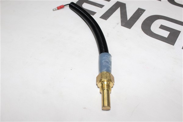 TEMPERATURE SENSOR - V.bm90206411